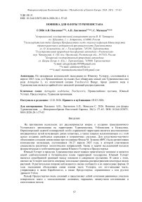 Новинка для флоры Туркменистана