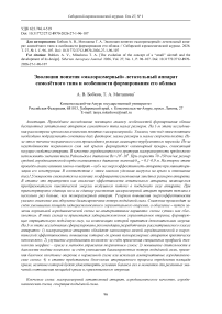 Эволюция понятия «малоразмерный» летательный аппарат самолётного типа и особенности формирования его облика