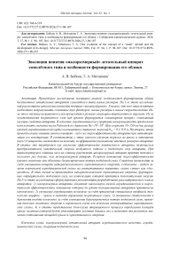 The evolution of the concept of a “small” aircraft and the development of its design