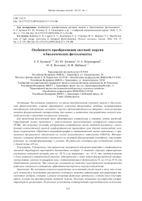 Specific features of light energy conversion in biological photo-elements