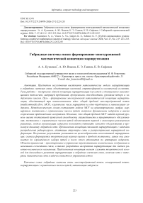 Hybrid communication systems: forming a multilevel mathematical concept of routing