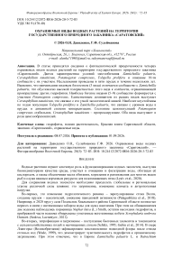 Охраняемые виды водных растений на территории государственного природного заказника «Саратовский»