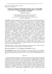 Габитус молодых особей Quercus robur L. (Fagaceae) вблизи памятника природы «Сосновые насаждения у с. Плеханы» (Саратовское Заволжье)