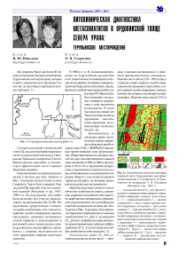 Литохимическая диагностика метасоматитов в ордовикской толще севера Урала: Турупьинское месторождение