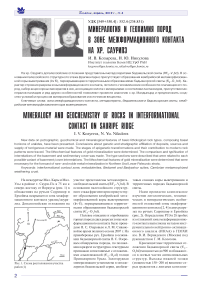 Минералогия и геохимия пород в зоне межформационного контакта на хр. Саурипэ