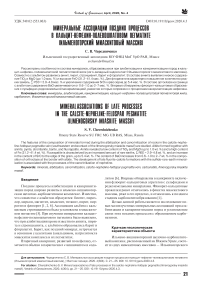 Минеральные ассоциации поздних процессов в кальцит-нефелин-полевошпатовом пегматите (Ильменогорский миаскитовый массив)