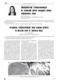 Цилиндрические строматопороидеи из отложений силура западного склона Приполярного Урала