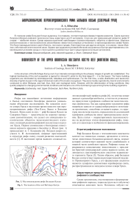 Биоразнообразие верхнеордовикского рифа Большая Косью (Северный Урал)