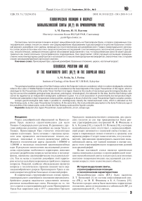 Geological position and age of the Man’hobeyu suite (RF1?) in the Subpolar Urals