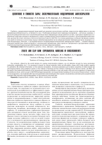 Zeolite and clay raw: experimental modeling of biogeosorbents