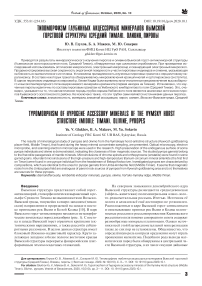 Типоморфизм глубинных акцессорных минералов Вымскойгорстовой структуры (Средний Тиман). Оливин, пиропы