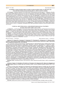 Клинико-этиологические и гемостазиологические особенности изолированных васкулитов диска зрительного нерва