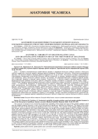 Анатомическая изменчивость большого небного канала и большого небного отверстия у мужчин первого периода зрелого возраста