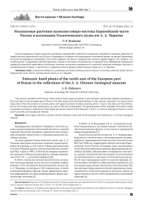 Ископаемые растения палеозоя северо-востока Европейской части России в коллекциях Геологического музея им А. А. Чернова