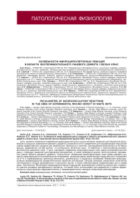 Особенности микроциркуляторных реакций в области экспериментального раневого дефекта у белых крыс