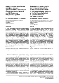 Оценка сортов и сортообразцов картофеля селекции Уральского НИИСХ из коллекции Института агробиотехнологий им. А.В. Журавского ФИЦ Коми НЦ УРО РАН