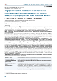 Морфологические особенности эпителиально- мезенхимальной трансформации и ее влияние на опухолевую прогрессию рака молочной железы