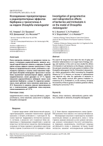 Исследование геропротекторных и радиопротекторных эффектов берберина и трихостатина а на модели Drosophila melanogaster