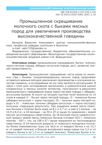 Промышленное скрещивание молочного скота с быками мясных пород для увеличения производства высококачественной говядины