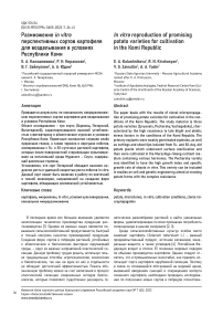 Размножение in vitro перспективных сортов картофеля для возделывания в условиях Республики Коми