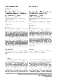 Разработка ПЦР-тест системы для выявления вируса картофеля Y