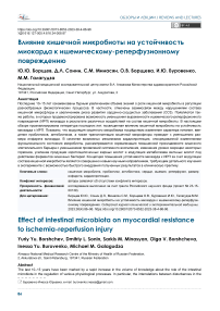 Влияние кишечной микробиоты на устойчивость миокарда к ишемическому-реперфузионному повреждению