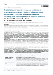 Гистопатологические параллели в нативных створках аортальных клапанов и биопротезах митральных клапанов при инфекционном эндокардите и приобретенных пороках развития