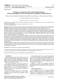 Changes in respiration of the mitochondrial fraction of brain homogenates in rats with stepwise incomplete cerebral ischemia