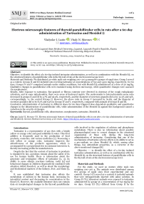 Electron microscopic features of thyroid parafollicular cells in rats after a 60-day administration of Tartrazine and Mexidol ®