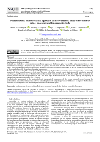 Posterolateral musculofascial approach to intervertebral discs of the lumbar spine: anatomic and topographic study