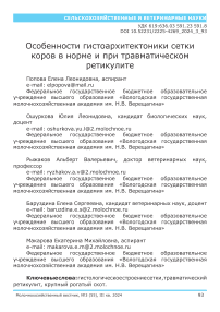 Особенности гистоархитектоники сетки коров в норме и при травматическом ретикулите