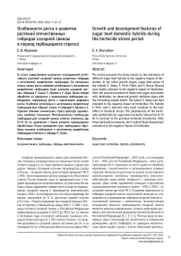 Особенности роста и развития растений отечественных гибридов сахарной свеклы в период гербицидного стресса