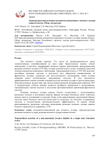 Трансуретральная резекция немышечно-инвазивного мочевого пузыря единым блоком. Обзор литературы