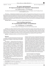 Из опыта преподавания. XV. Кристаллографические бордюры и филлотаксис