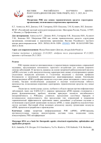 Матричная РНК как основа терапевтических средств: структурная организация, оптимизация и перспективы применения