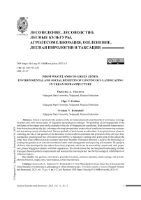 От пустырей к зеленым зонам: экологические и социальные преимущества сплошного озеленения в городской инфраструктуре