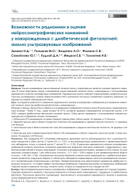 Возможности радиомики в оценке нейросонографических изменений у новорожденных с диабетической фетопатией: анализ ультразвуковых изображений