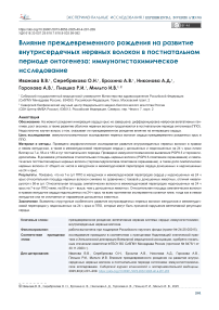 Влияние преждевременного рождения на развитие внутрисердечных нервных волокон в постнатальном периоде онтогенеза: иммуногистохимическое исследование