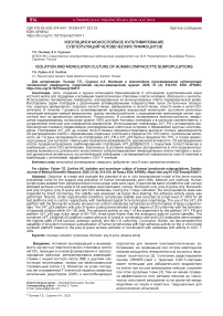 Изоляция и монослойное культивирование субпопуляций человеческих лимфоцитов