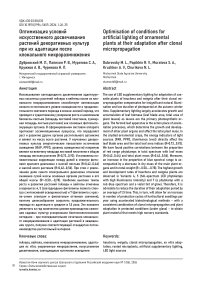 Оптимизация условий искусственного досвечивания растений декоративных культур при их адаптации после клонального микроразмножения