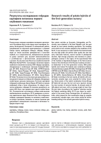 Результаты исследования гибридов картофеля питомника первого клубневого поколения