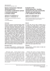 Оценка селекционных образцов Dactylis glomerata L. по основным хозяйственно-ценным и полезным признакам в условиях Севера