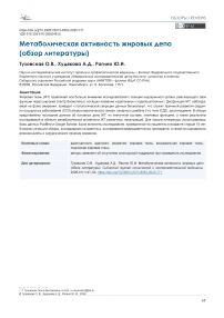 Метаболическая активность жировых депо (обзор литературы)
