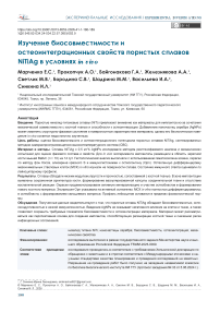 Изучение биосовместимости и остеоинтеграционных свойств пористых сплавов NiTiAg в условиях in vivo