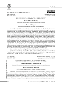 Костяные изделия с Багаевского селища