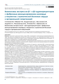 Взаимосвязь экспрессии β1- и β2-адренорецепторов с фиброзным ремоделированием миокарда у пациентов с ишемической болезнью сердца и артериальной гипертензией