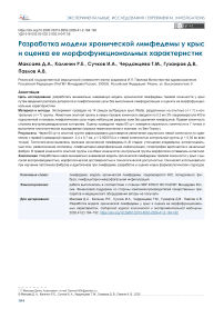 Разработка модели хронической лимфедемы у крыс и оценка ее морфофункциональных характеристик