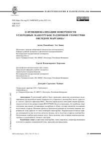 О функционализации поверхности углеродных нанотрубок различной геометрии оксидом марганца