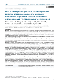 Анализ гендерно-возрастных закономерностей развития атеросклероза аорты и липидно-кальциевого поражения створок аортального клапана сердца у гиперлипидемических мышей