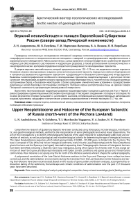 Верхний неоплейстоцен и голоцен Европейской Субарктики России (северо-запад Печорской низменности)